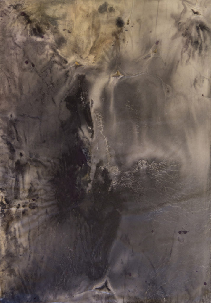 Image of monotype in greys